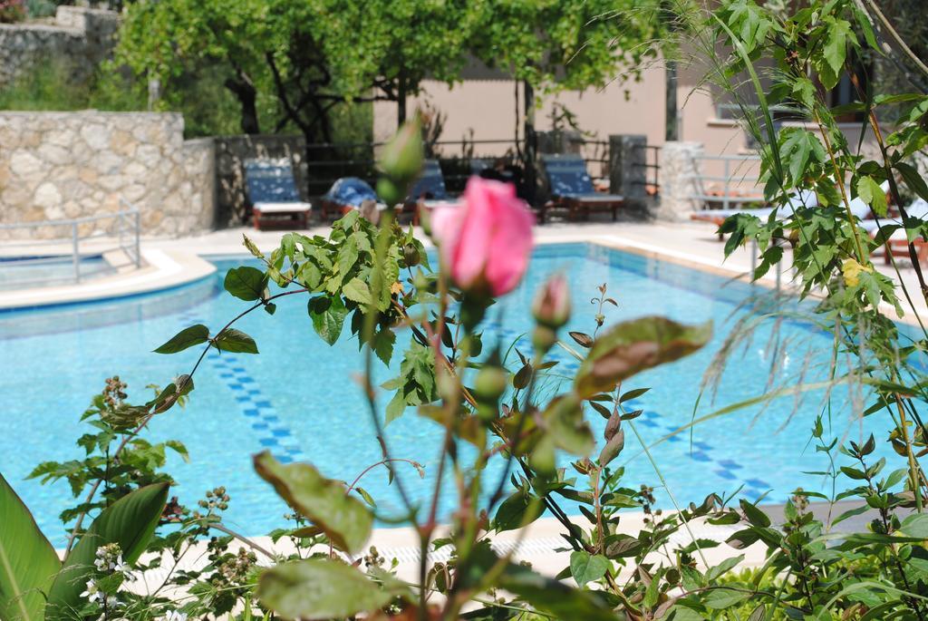 Kleo Cottages Kalkan Room photo