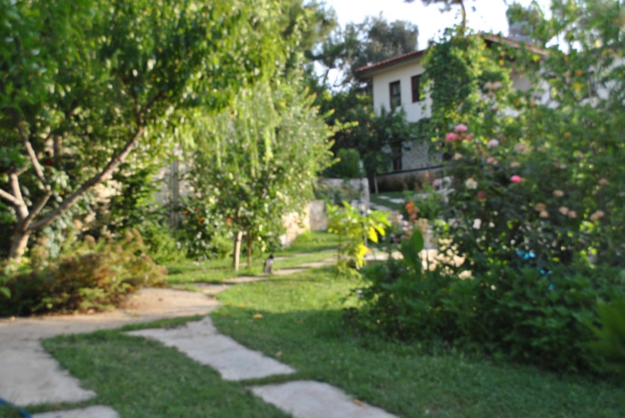 Kleo Cottages Kalkan Exterior photo