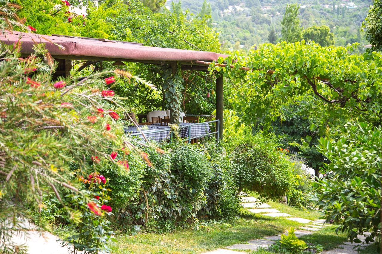 Kleo Cottages Kalkan Exterior photo